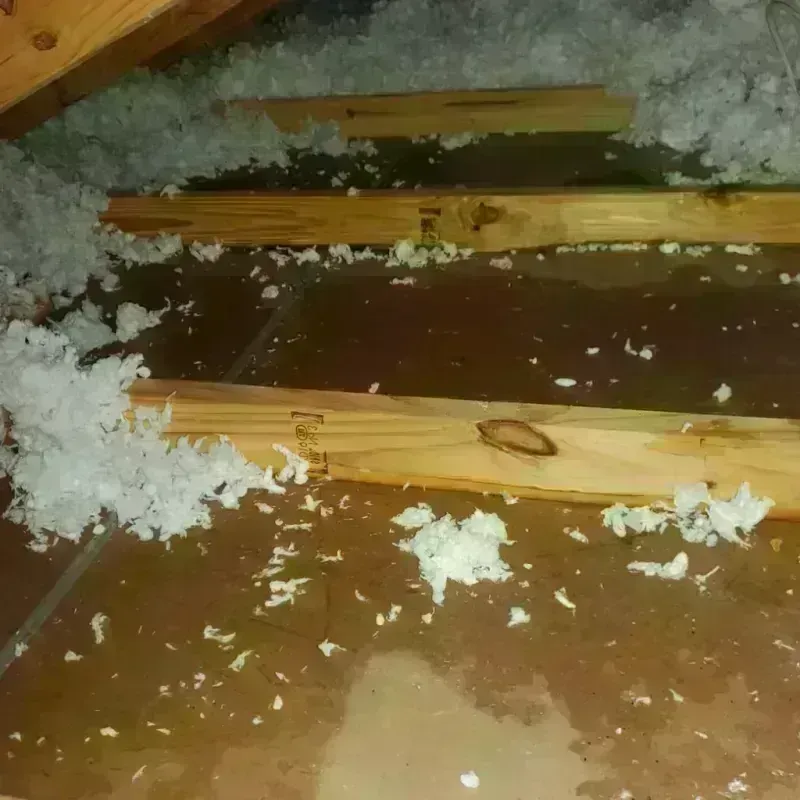 Attic Water Damage in Converse, TX